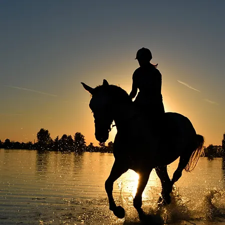 Isa Διαμέρισμα Καντίζ