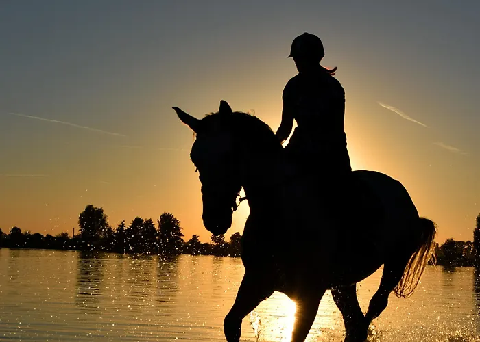 Isa 아파트 카디스