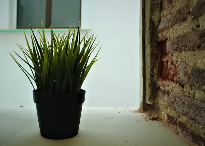 アパート Isa カディス